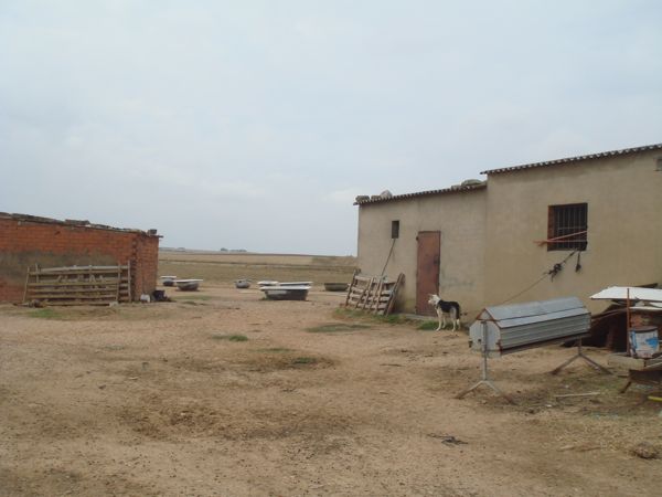 DSC07686