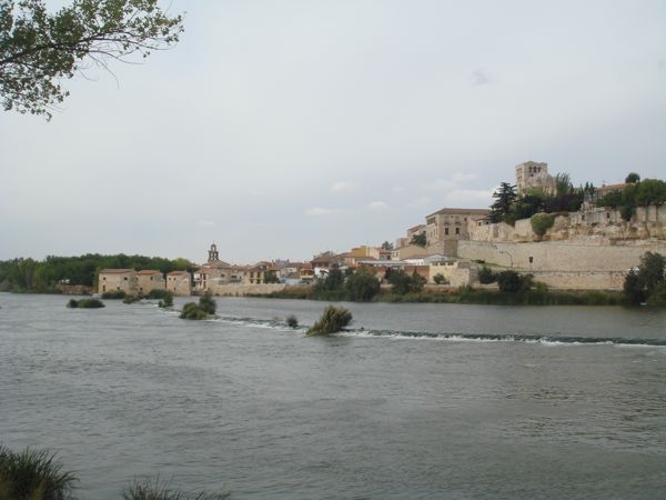 DSC07694