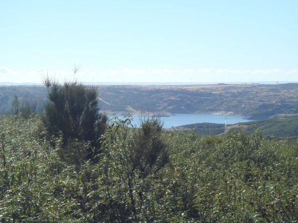 DSC07716