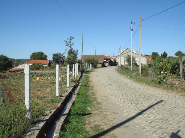 DSC07774