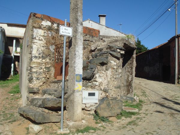 DSC07775
