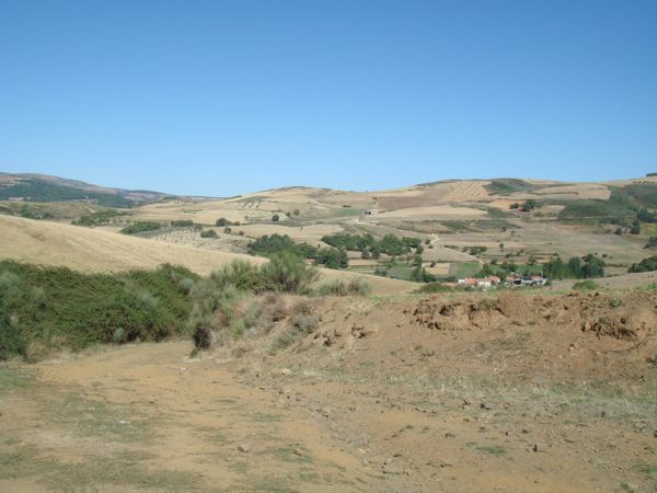 DSC07782