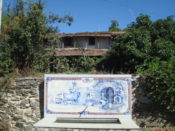DSC07783