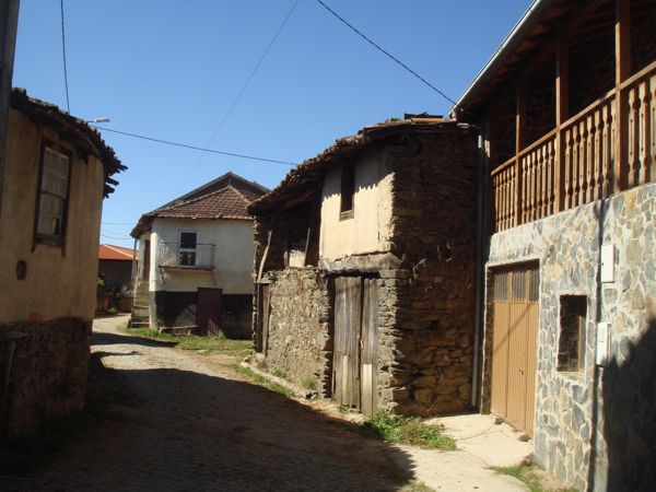 DSC07786