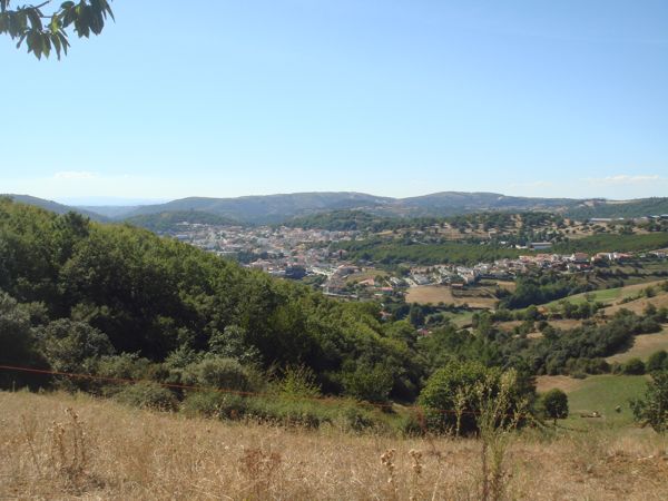 DSC07790