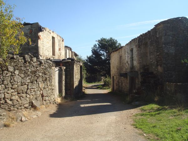 DSC07799