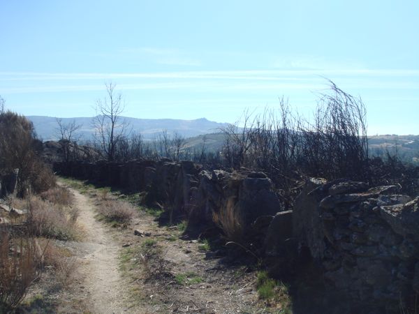 DSC07806