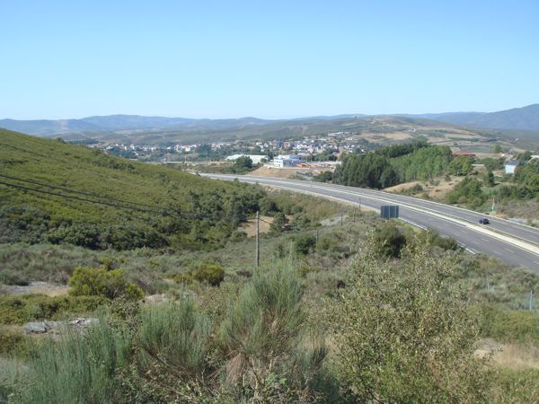DSC07810