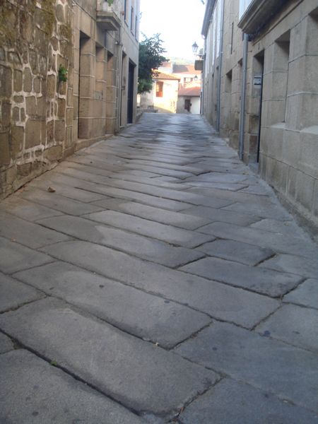 DSC07883