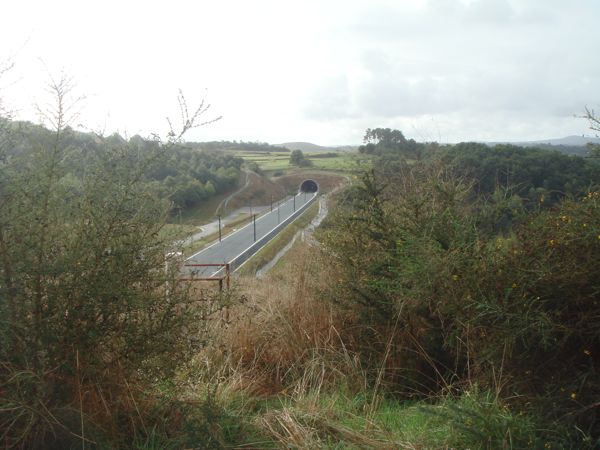 DSC07911