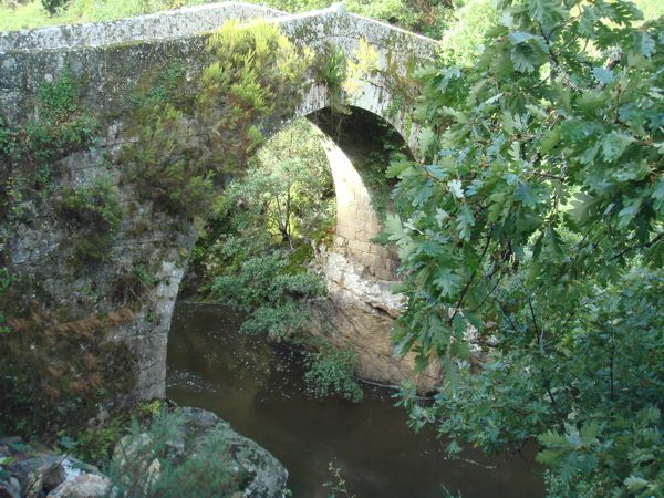 DSC07918