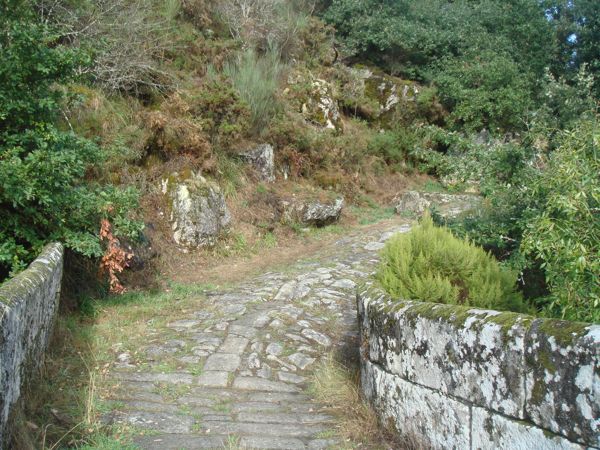 DSC07921