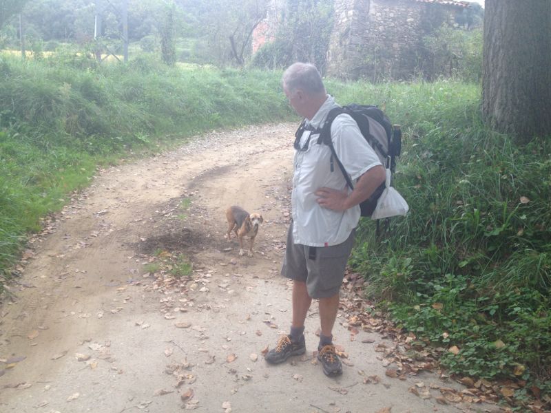 Le chien de l'Esquirol