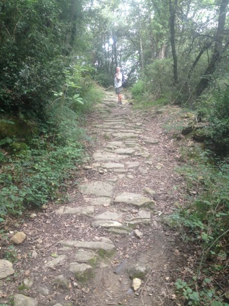 Montée caillouteuse 1