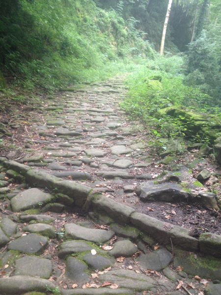 Chemin ombragé vers Olot